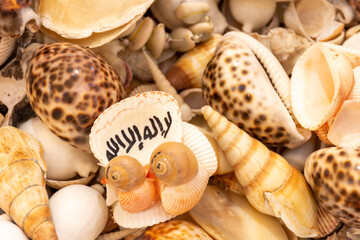 A collection of seashells in a gift shop in Al Seef Dubai Creek, 
