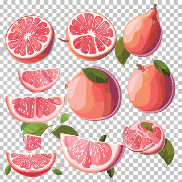  set of ripe seriguela fruits isolated on transparent background 