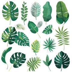 Fototapeta premium set tropical leaves