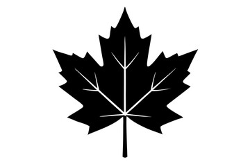 Obraz premium maple leaf black silhouette vector, Simple silhouette Design vector icon with white background. 