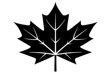 maple leaf black silhouette vector, Simple silhouette Design vector icon with white background. 