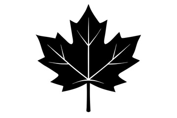 maple leaf black silhouette vector, Simple silhouette Design vector icon with white background. 