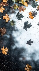 Autumn Leaves Floating on Water Puddle  Fall Season  Nature Photography