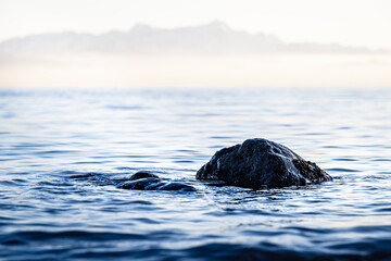 Fototapeta premium Felsformation im ruhigen Wasser mit Nebel und weichem Hintergrund