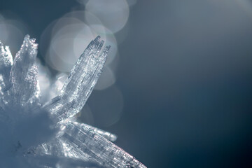 Makroaufnahme von Eiskristallen mit unscharfem Hintergrund und Lichtreflexionen

Schlüsselwörter: