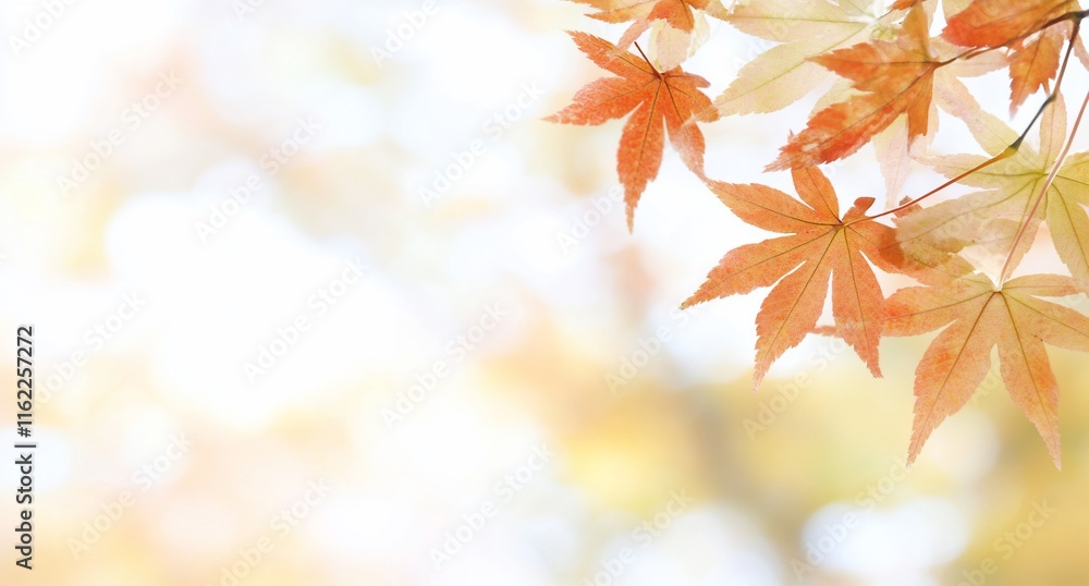 Poster autumn leaves with a soft, blurred background creating a tranquil atmosphere.