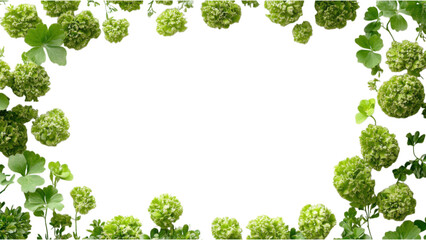 Green Floral Square Arrangement, vibrant green flower clusters form a striking square pattern against a crisp white background, enhancing visual appeal.