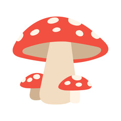 Mushrooms vector illustration