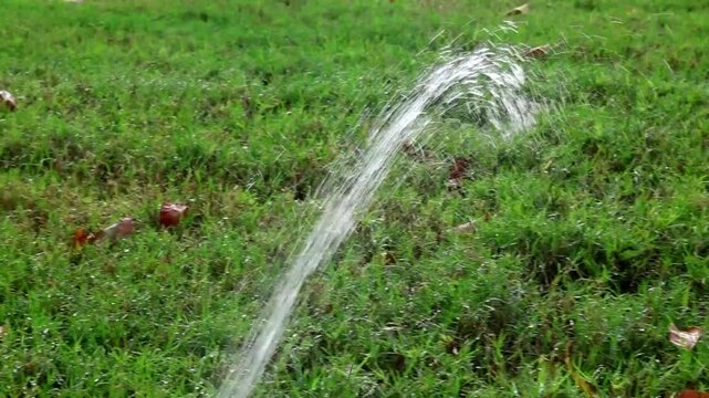 Splinker irrigates lawn near the house, watering the lawn grass.