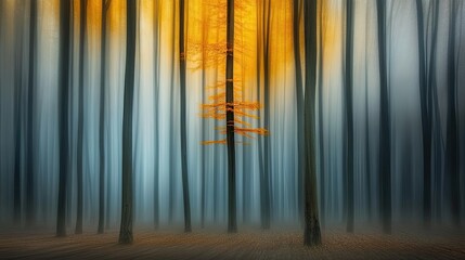 Obraz premium Golden Autumn Tree In A Misty Forest