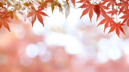 A serene display of autumn leaves in soft focus.