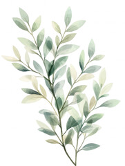 A leafy green plant with a few leaves on it