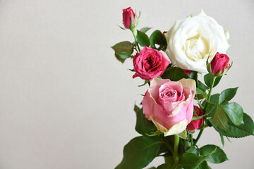 ピンクと白のばら