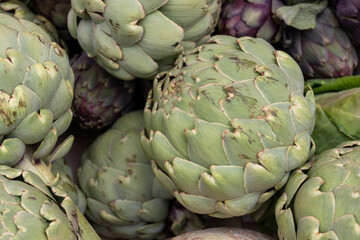 Obraz premium Big ripe uncooked green globe artichoks vegetables close up from Brittany