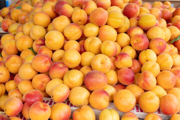 New harvest of fresh ripe sweet yellow-red apricots fruits in Provence, France
