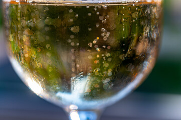 Bubbles in glass of french sparkling champagne wine golden bubbles close up