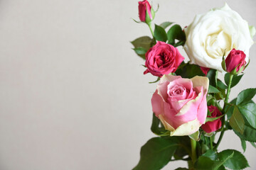 ピンクと白のばら