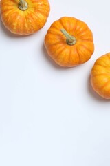 Beautiful autumn composition with pumpkins on a white background, top view