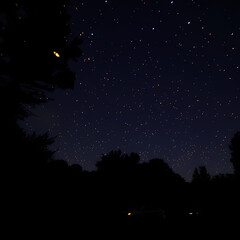 Naklejka premium Beautiful Night Sky Illuminated by Fireflies Around Streetlights and Utility Poles