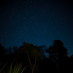 Naklejka premium Beautiful Night Sky Illuminated by Fireflies Around Streetlights and Utility Poles