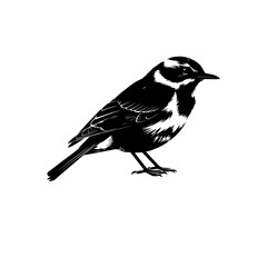 A striking black and white illustration of a bird, perfect for adding a touch of nature to your designs Vector. Detailed Sparrow Art in Silhouette Style.Bright and airy sparrow bird silhouette 