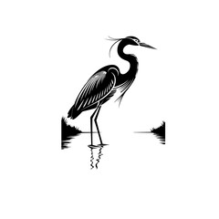Heron silhouettes black color silhouette.Heron cinerea Stock design Images on white background Pro Vector.egret black silhouette Pro Vector.Heron bird in a water silhouette illustration Pro Vector.