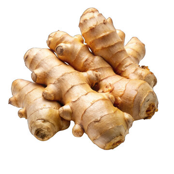 Fresh ginger isolated on transparent background