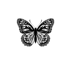 Butterfly silhouettes collection, illustration isolated on white background Pro Vector.monarch butterfly silhouette Clipart image isolated on white background. Beautiful Butterfly Decoration element.