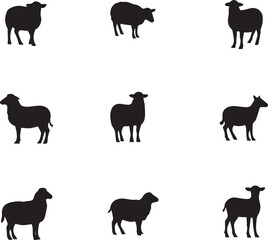 Fototapeta premium Vector silhouette of Sheep