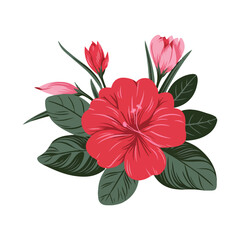 Azalea flower isolated on transparent background.
Colorful Leaves and Flowers Vector Art.Beautiful Flower Minimalist Floral Illustration Pro Vector.