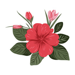Azalea flower isolated on transparent background.
Colorful Leaves and Flowers Vector Art.Beautiful Flower Minimalist Floral Illustration Pro Vector.