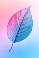 Pink Blue Leaf Background,