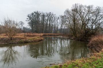 Meandering Odra river with trees around near Studenka town in CHKO Poodri in Czech republic