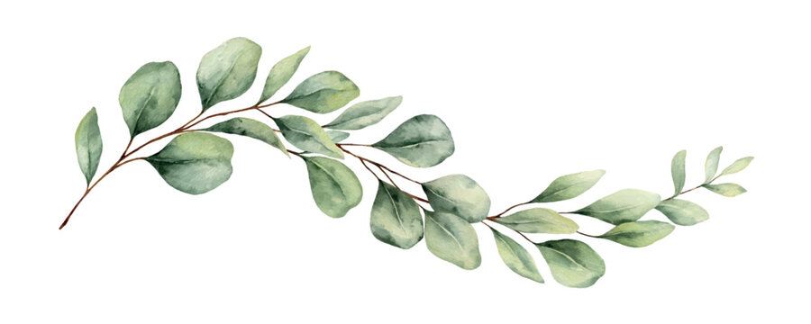 Watercolor vector wreath with green eucalyptus leaves and branches. Greenery clipart for wedding invitation, greeting cards, save the date, stationery design. Hand drawn illustration.