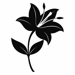 Lily Serenity black silhouette vector