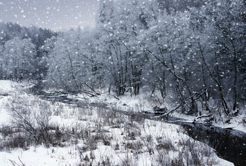 Snowy winter landscape, snowstorm scene  