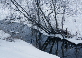Snowy winter landscape, snowstorm scene  