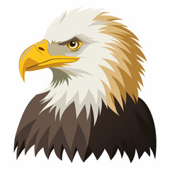Vector illustration of an American Bald Eagle