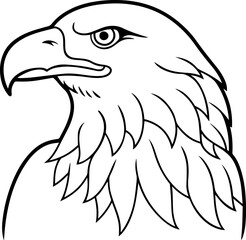 Line Art of an American Bald Eagle