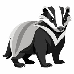 Vector illustration of a Badger