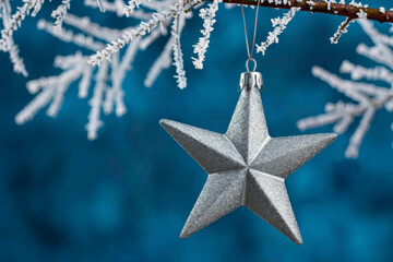 Silver star ornament hangs from frosted branch against a blue background