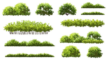  Vector watercolor green  tree or forest side view isolated on white background for landscape and architecture drawing,elements for environment or and garden,Shrub for section
