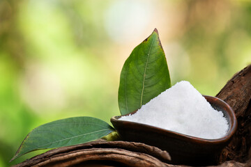 Camphor crystals and branch green leaves on natural background.