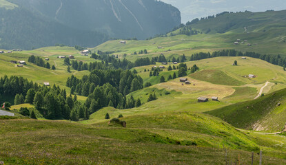 Fresh alpine meadows with small wooden barns in the Italian Dolomites during a summer day. Beautiful hiking spot in the Italian Dolomites. Impressive mountains in the background.