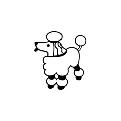 Poodle
