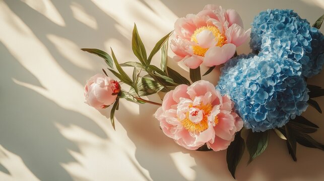 Pink peonies and blue hydrangeas on taupe surface with diffused light
