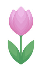 Pink tulip isolated on a white  background. Flat design. Colored icon, flower vector illustration.