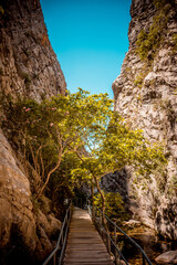Rocky Cliffside Surrounded by Lush Greenery under a Clear Sky