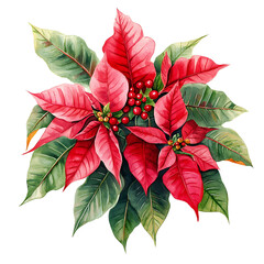 Create a watercolor poinsettia bouquet clipart festive floral arrangement seasonal vibes winter and autumn flowers