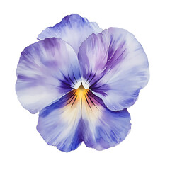 Graceful pansy bloom in watercolor garden clipart transparent soft gradients seasonal beauty floral art